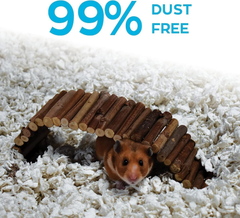 carefresh 99% Dust-Free White Natural Paper Small Pet Bedding with Odor Control
