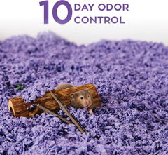Carefresh 99% Dust-Free Playful Purple Natural Paper Small Pet Bedding with Odor Control