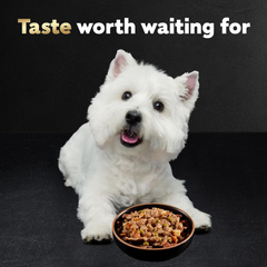 CESAR HOME DELIGHTS Wet Dog Food Pot Roast & Vegetable, Beef Stew, Turkey Potato & Green Bean, and Hearth Chicken & Noodle Variety Pack Easy Peel Trays
