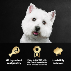 CESAR Adult Wet Dog Food Classic Loaf in Sauce Poultry Variety Pack,. Easy Peel Trays with Real Chicken, Turkey or Duck