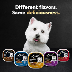CESAR Adult Wet Dog Food Classic Loaf in Sauce Poultry Variety Pack,. Easy Peel Trays with Real Chicken, Turkey or Duck
