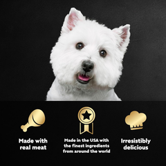 CESAR Adult Soft Wet Dog Food Steak Lovers Variety Pack with Real Meat, (36) 3.5 oz. Trays