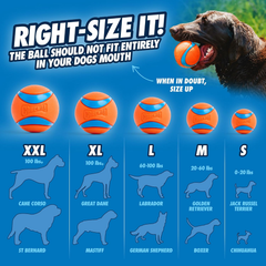 Chuckit! Dog Ball Launcher - Classic, Dog Fetch Ball Thrower, For Dogs 20-60 Pounds, Made in USA