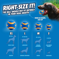 Chuckit! Ultra Squeaker Balls for Dogs, Floating Water Pet Toys, Durable Rubber Pet Toy, Bouncy Squeaky Fetch Balls For Dogs, Pack of 2