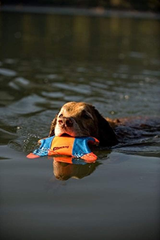 Canine Hardware Flying Squirrel