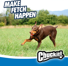 Chuckit! Ultra Ball Dog Toy  - For Dogs 60-100 lbs - Made from Durable Rubber - Super Bouncy - Floats in Water - 3-inch Diameter - Pack of 1
