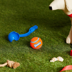 Chuckit! Dog Ball Launcher - Sport, Dog Fetch Ball Thrower, For Dogs 20-60 Pounds, Made in USA