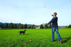 Chuckit! Classic Ball Launcher