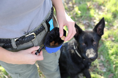 Chuckit! Treat Tote Dog Treat Pouch for Puppy Training