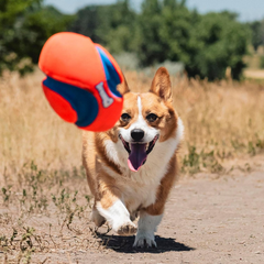 Chuckit! Fumble Fetch Dog Football - Outdoor and Indoor Interactive Dog Toy with Grooved Design for Easy Pickup - Made from Durable Rubber - Floats in Water - Orange and Blue
