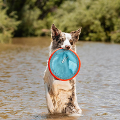 Chuckit! Paraflight Flying Disc Dog Toy - Water Floating Flyer - Durable Nylon Construction with Soft Rubber Edges - For Medium and Large Dogs