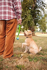 Chuckit Gen 1 Fetch Pack Dog Balls - Interactive Dog Toys, High-Bounce Fetch Ball, Floating Ultra and Rugged Balls, Durable