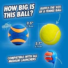 Chuckit! Ultra Squeaker Balls for Dogs, Floating Water Pet Toys, Durable Rubber Pet Toy, Bouncy Squeaky Fetch Balls For Dogs, Pack of 2