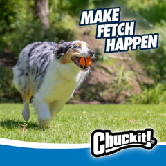 Chuckit! Ultra Ball Dog Toy - Medium Bouncy Fetch Balls For Dogs 20-60 lbs - Made from Durable Rubber - Floating Water Pet Toys