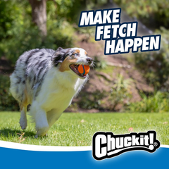 Chuckit! Dog Balls - Interactive Dog Toys, High-Bounce Fetch Ball, Floating Ultra and Rugged Balls, Durable