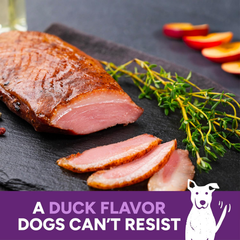 Cloud Star Wag More Bark Less Grain Free Jerky Dog Treats with Duck & Apple