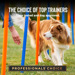 Cloud Star Tricky Trainers Soft & Chewy Dog Training Treats, Salmon Flavor, Low Calorie Behavior Aid with 130 treats