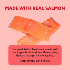 Cloud Star Dynamo Dog Skin & Coat Soft Chews Grain Free Dog Treats, Salmon