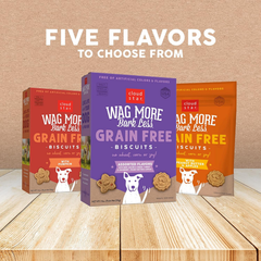 Cloud Star Wag More Bark Less Crunchy Grain Free Dog Treats, Assorted Flavors