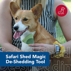 Coastal Pet Safari Shed Magic Deshedding Tool for Dogs with Medium to Long Hair - Deshedding & Detangling Dog Brush
