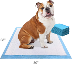 Four Paws Wee-Wee Odor Control with Febreze Freshness Pee Pads for Dogs & Puppies, Leak-Proof Dog Housebreaking Potty Training Floor Protection, Spring Fresh Scent