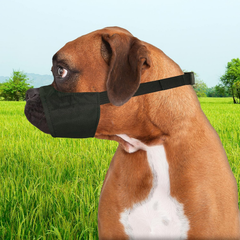 Four Paws Walk-About Quick-Fit Short Snout Adjustable Dog Muzzle for Medium Dogs, Washable & Breathable, Black