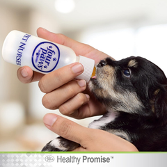Four Paws Pet Nursing Kit, Feeding Bottle and Brush for Kittens & Puppies 2 oz
