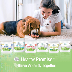 Four Paws Healthy Promise Cat Urinary Tract Supplement Soft Chews
