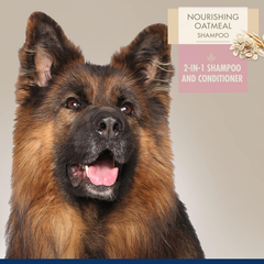 Four Paws Magic Coat Professional Series Nourishing Oatmeal 2 in 1 Dog Shampoo and Conditioner