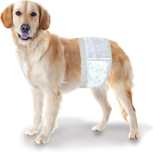 Four Paws Wee-Wee Super Absorbent Disposable Adjustable Dog Potty Training Male Wraps Diapers, Leak-Proof Protection for Puppies and Small Dogs