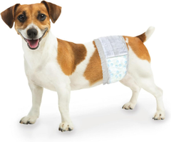 Four Paws Wee-Wee Super Absorbent Disposable Adjustable Dog Potty Training Male Wraps Diapers, Leak-Proof Protection for Puppies and Small Dogs