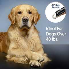 Four Paws Magic Coat Professional Series Nail Trimmer for Dogs