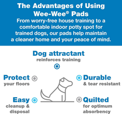 Four Paws Wee-Wee Silicone Pee Pad Holder for Dogs & Puppies, Washable Dog Housebreaking Potty Training Floor Protection
