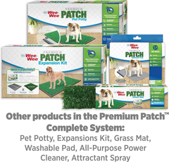 Four Paws Wee-Wee Premium Patch Reusable Pee Pad for Dogs