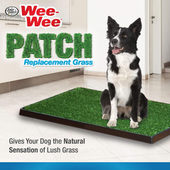 Four Paws Wee-Wee Premium Patch Indoor and Outdoor Pet Potty for Dogs l Dog Potty Training l Artificial Grass l Wee-Wee Patch