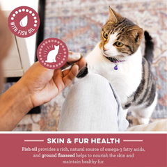 Greenies Feline Smartbites Skin & Fur Crunchy and Soft Natural Cat Treats, Salmon Flavor