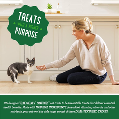 Greenies Feline Smartbites Skin & Fur Crunchy and Soft Natural Cat Treats, Salmon Flavor