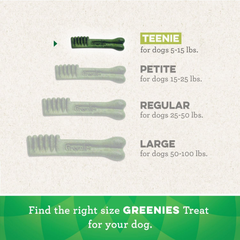 Greenies Teenie Natural Dental Care Dog Treats Blueberry Flavor