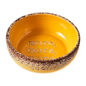 SPOT Ethical Products More More Dog Dish