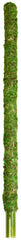 Galápagos Mossy Perch for Aquarium, 24", Fresh Green