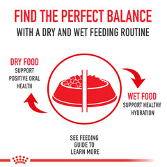 Royal Canin Boxer Adult Dry Dog Food