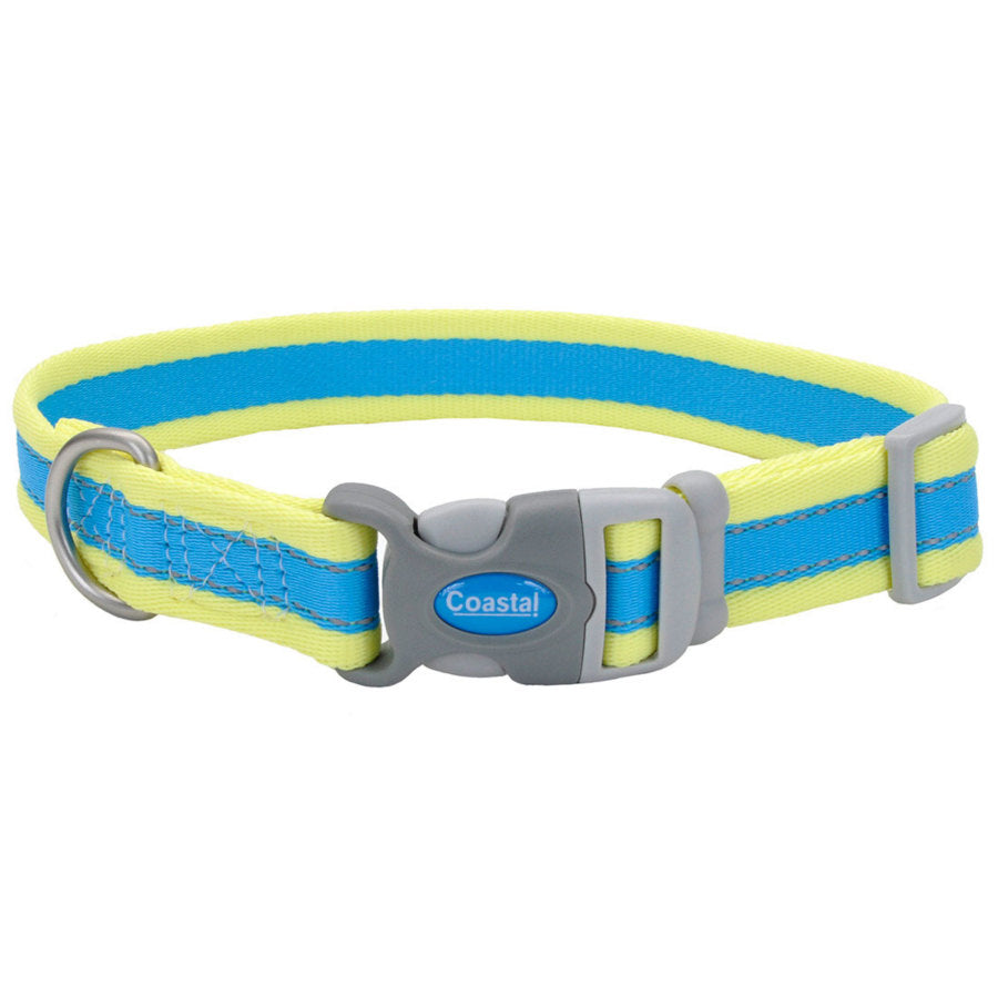 Coastal Pet - Pro - Reflective Adjustable Dog Collar, Aqua with Neon
