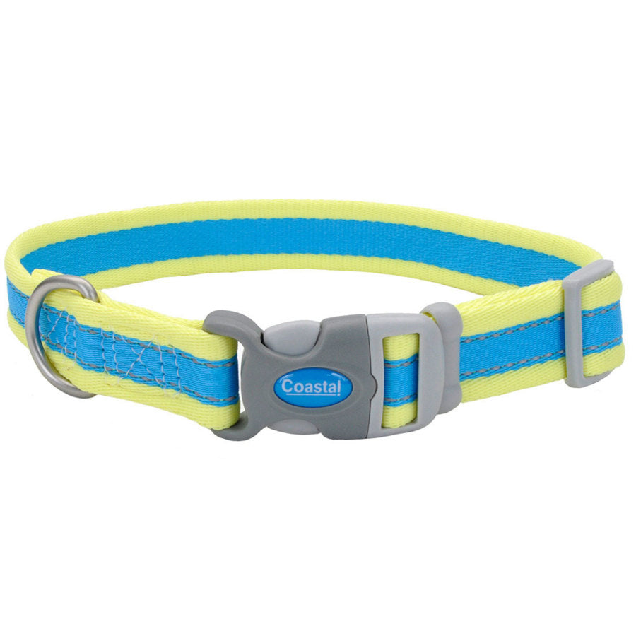 Coastal Pet - Pro - Reflective Adjustable Dog Collar, Aqua with Neon