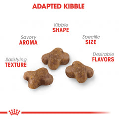 Royal Canin Feline Health Nutrition Kitten Dry