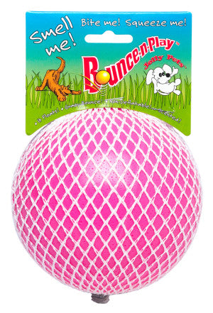 Jolly Pets Bounce-n-Play Dog Toy Ball