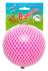 Jolly Pets Bounce-n-Play Dog Toy Ball