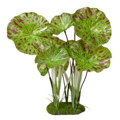 Blue Ribbon Pet Products Exotic Environments Aquarium Plants