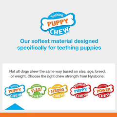 Nylabone Bacon Puppy Teething Keys, Small