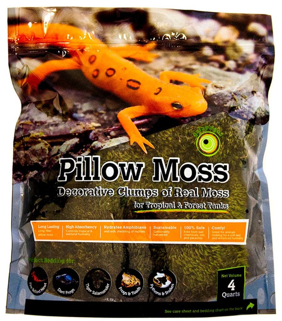 Galápagos Pillow Moss, Fresh Green, Header Bag
