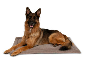Petmate Aspen Pet Rectangular Kennel Mat
